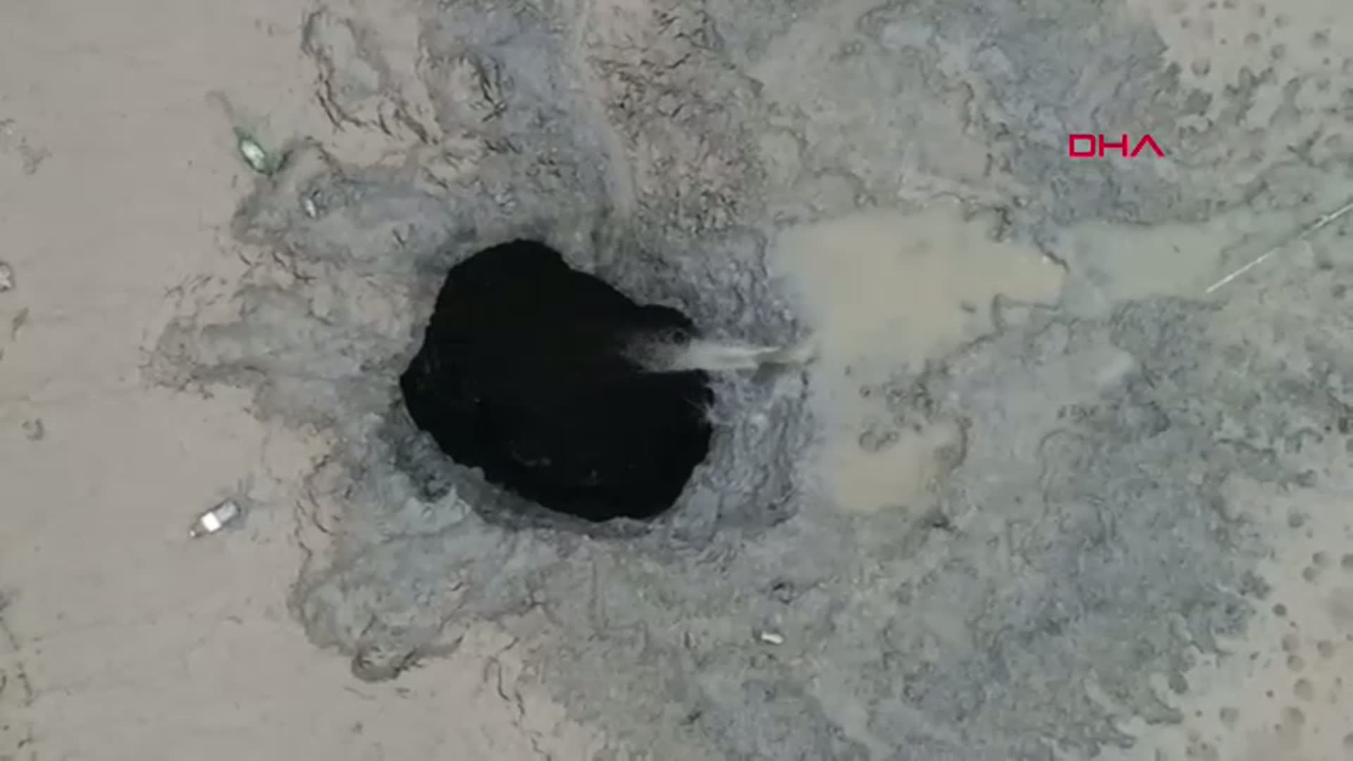 Dımbızlar Göleti'nde Su Krizi: Balıklar Açıkta Kaldı