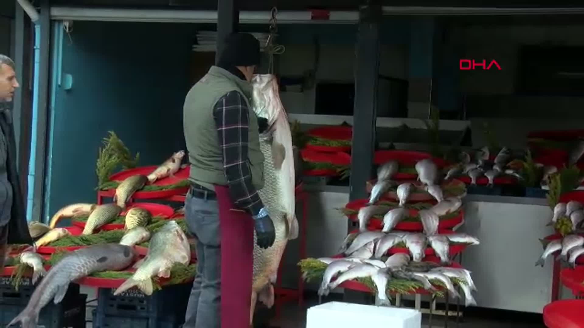 Diyarbakır'da Yakalanan Dev Turna Balığı Hızla Tükendi