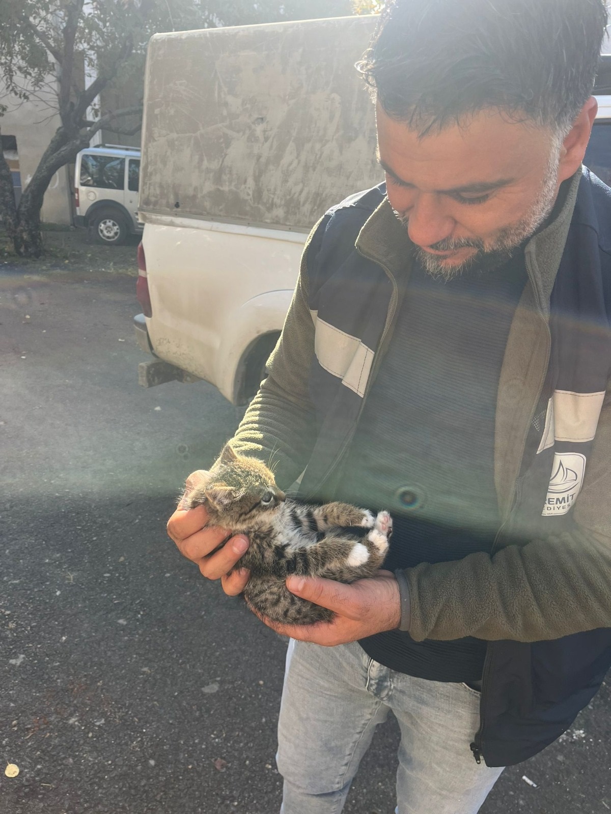 Van'daki Yavru Kedi Çatıda Mahsur Kaldı, İtfaiye Tarafından Kurtarıldı
