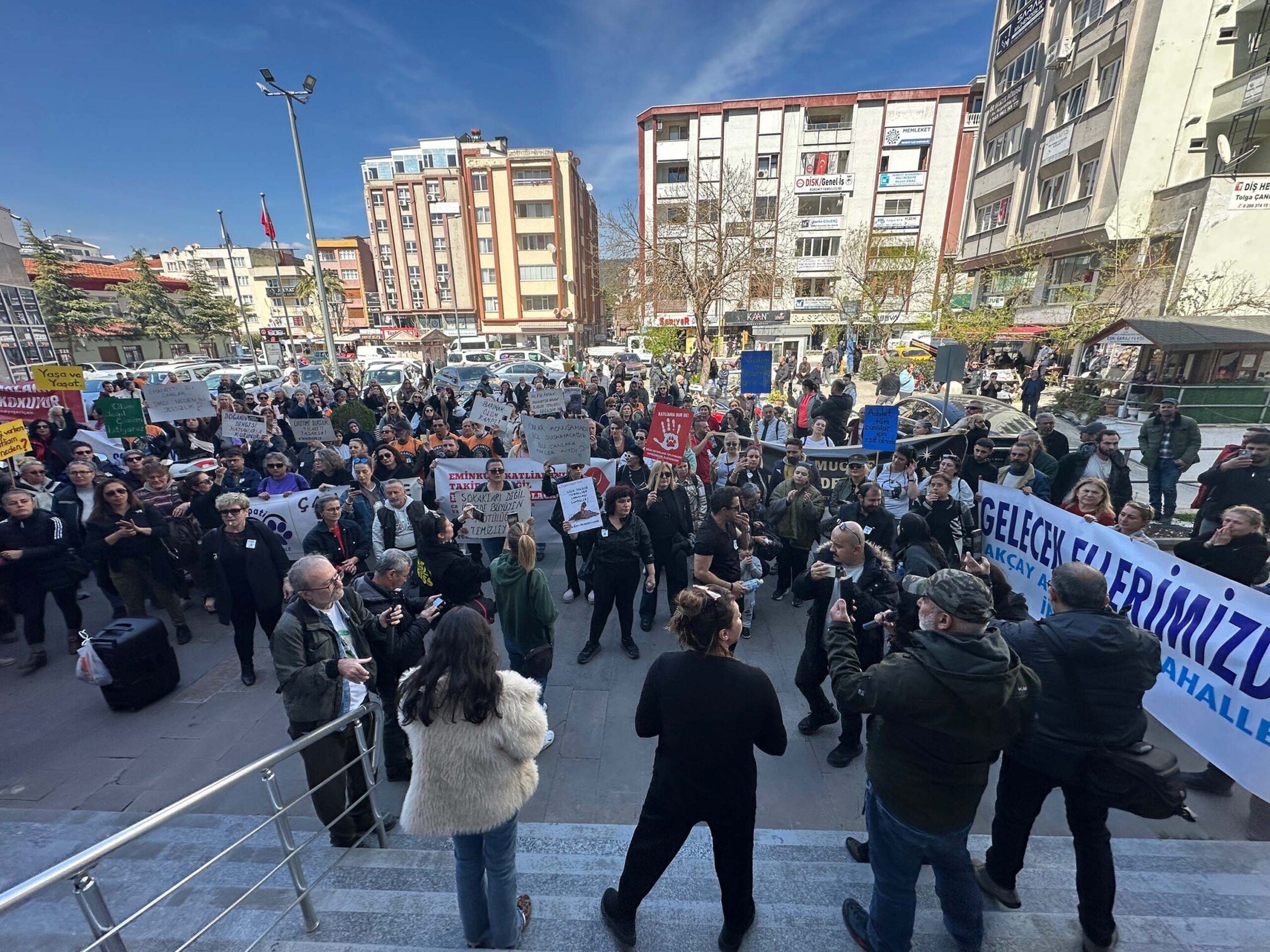 Edremit'te Hayvanseverler Sokak Köpeklerinin Ölümünü Protesto Etti