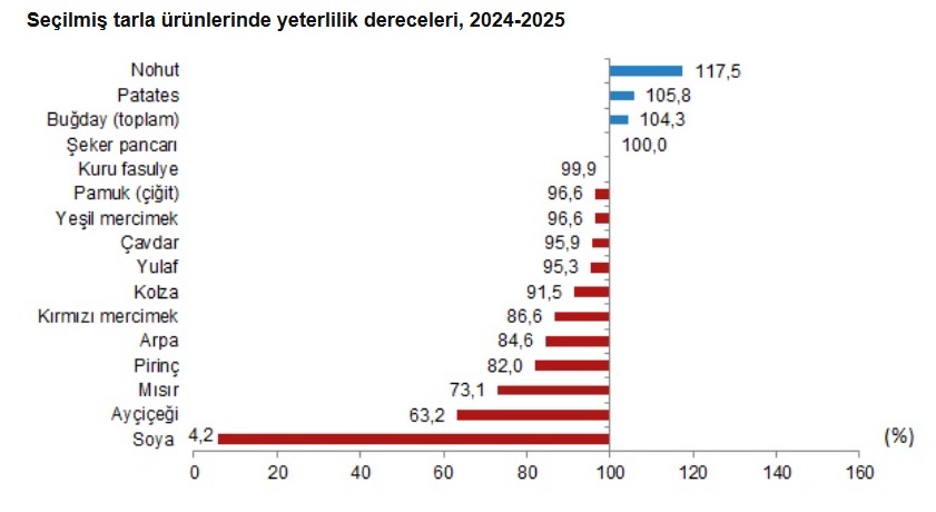 TÜİK'ten Tahıl Üretimi Raporu: Yeterlilik Derecesi Yüzde 91,1