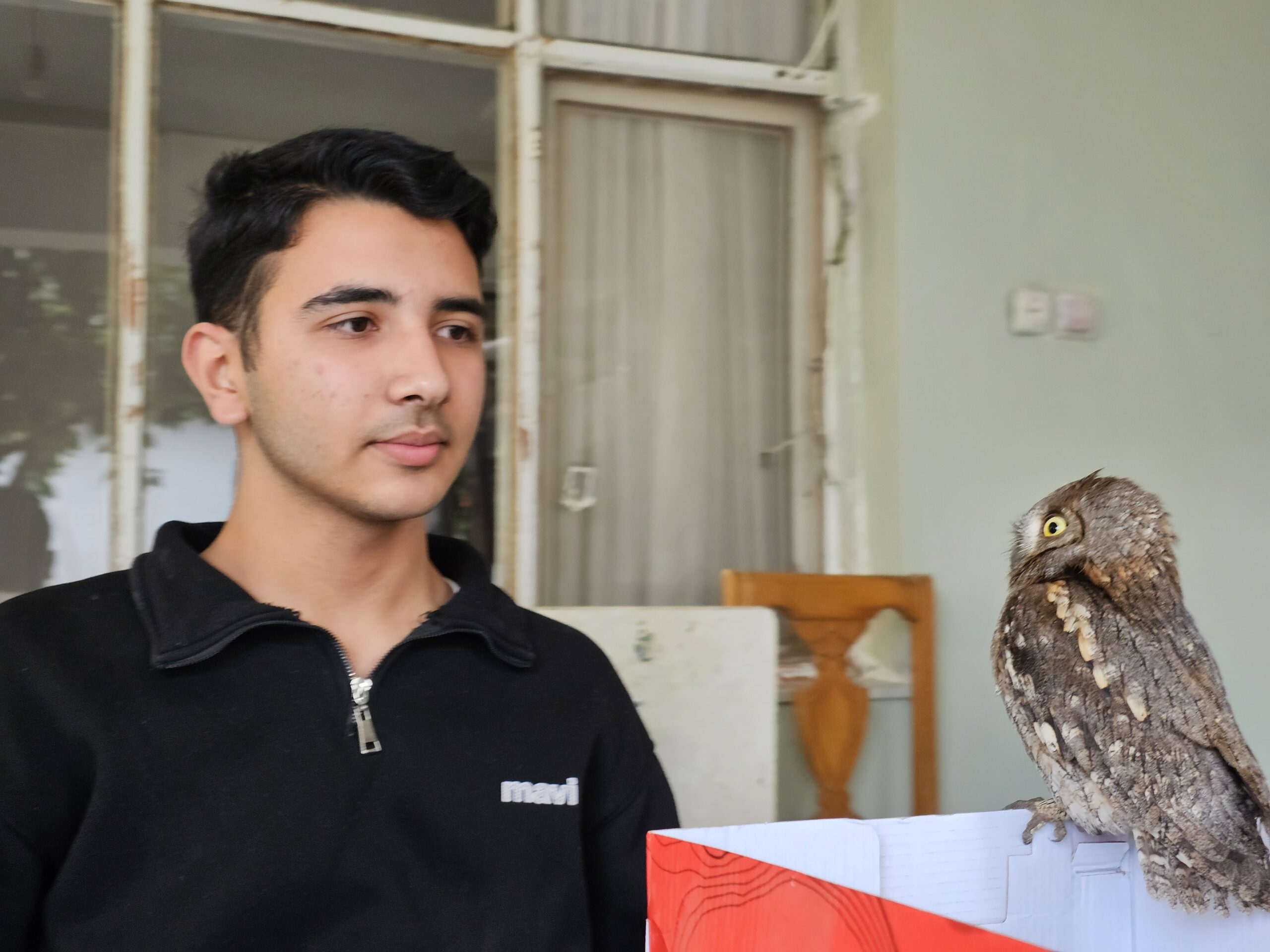 14 Yaşındaki Berk, Yaralı İshak Kuşunu Kurtardı