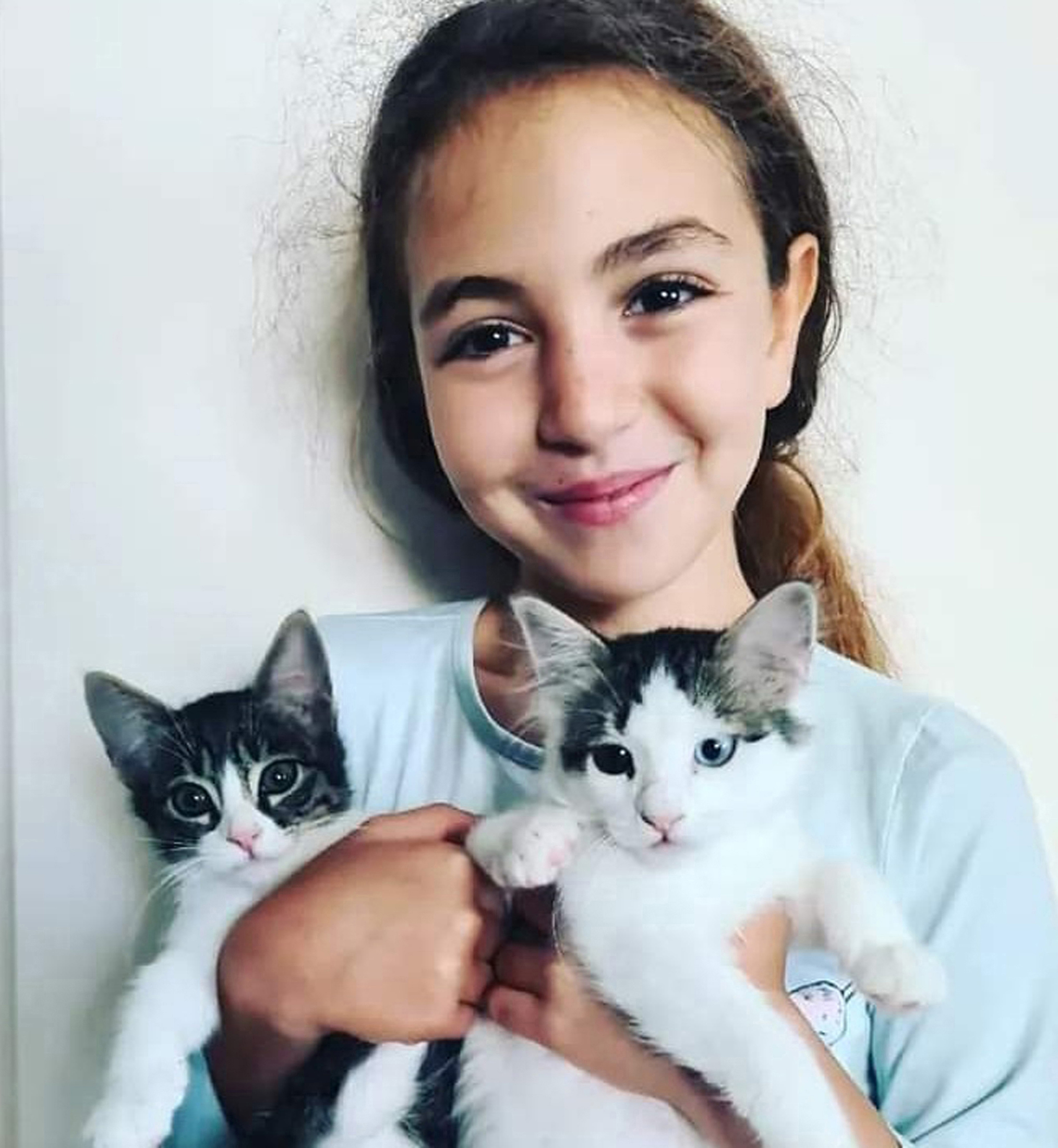 Mahra Melin Pınar Anıldı: Sokak Köpeklerinin Tehlikesine Dikkat Çekildi