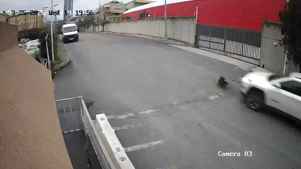 Avcılar'da Cip Sürücüsü Köpeği Ezdi, Durmadan Yoluna Devam Etti