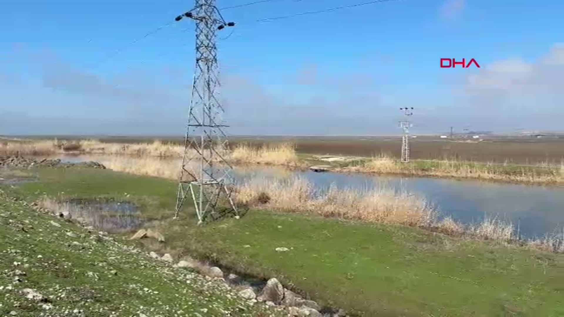 Diyarbakır'da İskandinav Yarımadası'ndan Göç Eden Çıvgın Kuşu Görüntülendi
