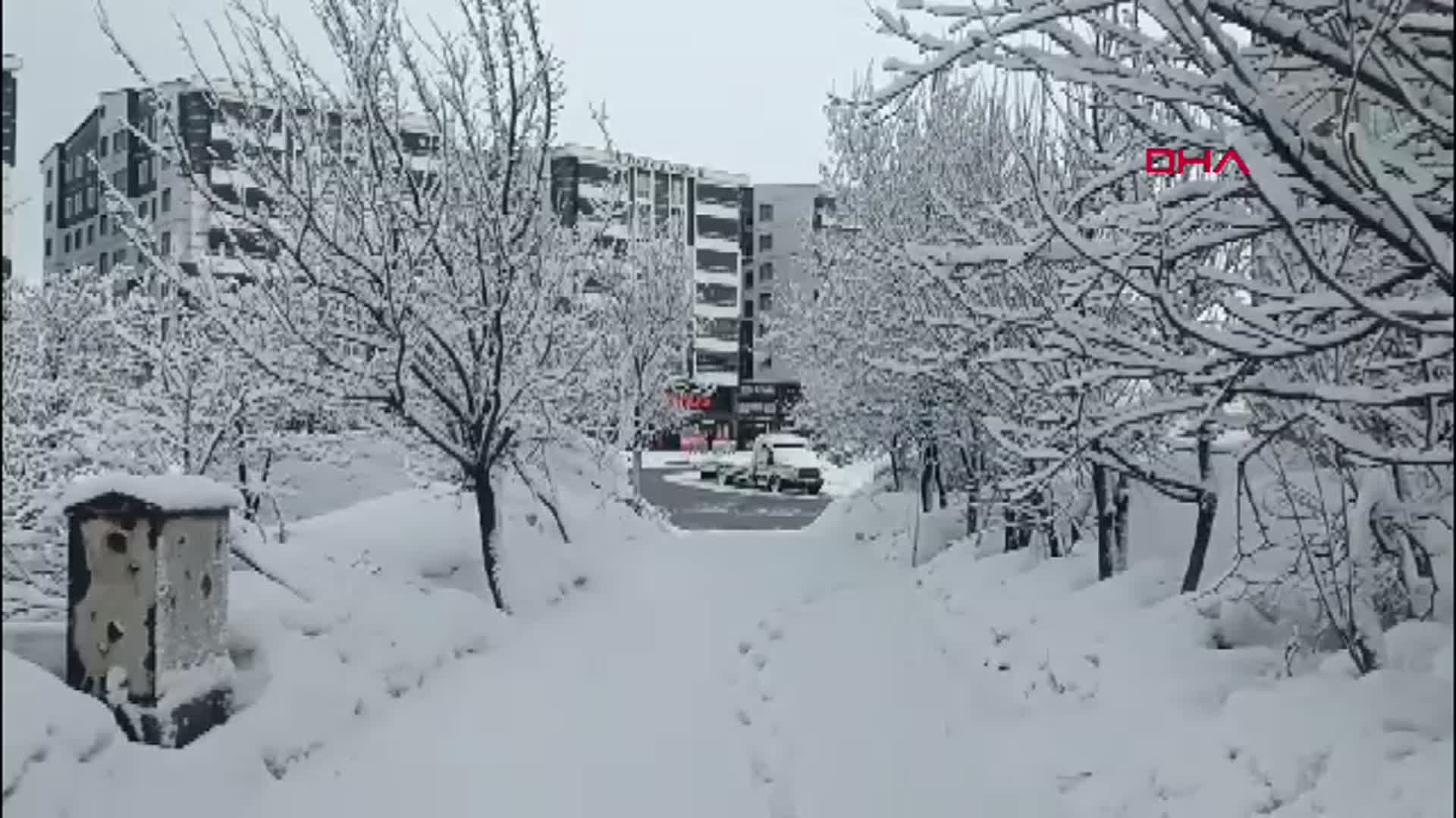 Bitlis'te Kar Yağışı Hayatı Olumsuz Etkiliyor