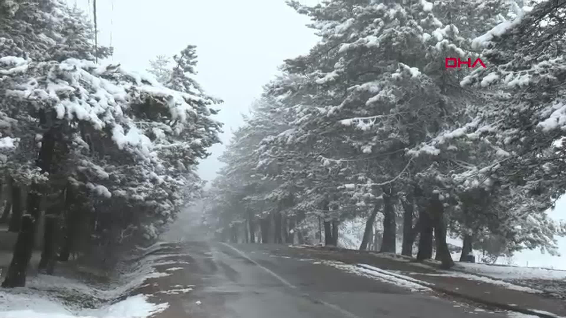 Bolu Abant Gölü'nde Kar Banyosu