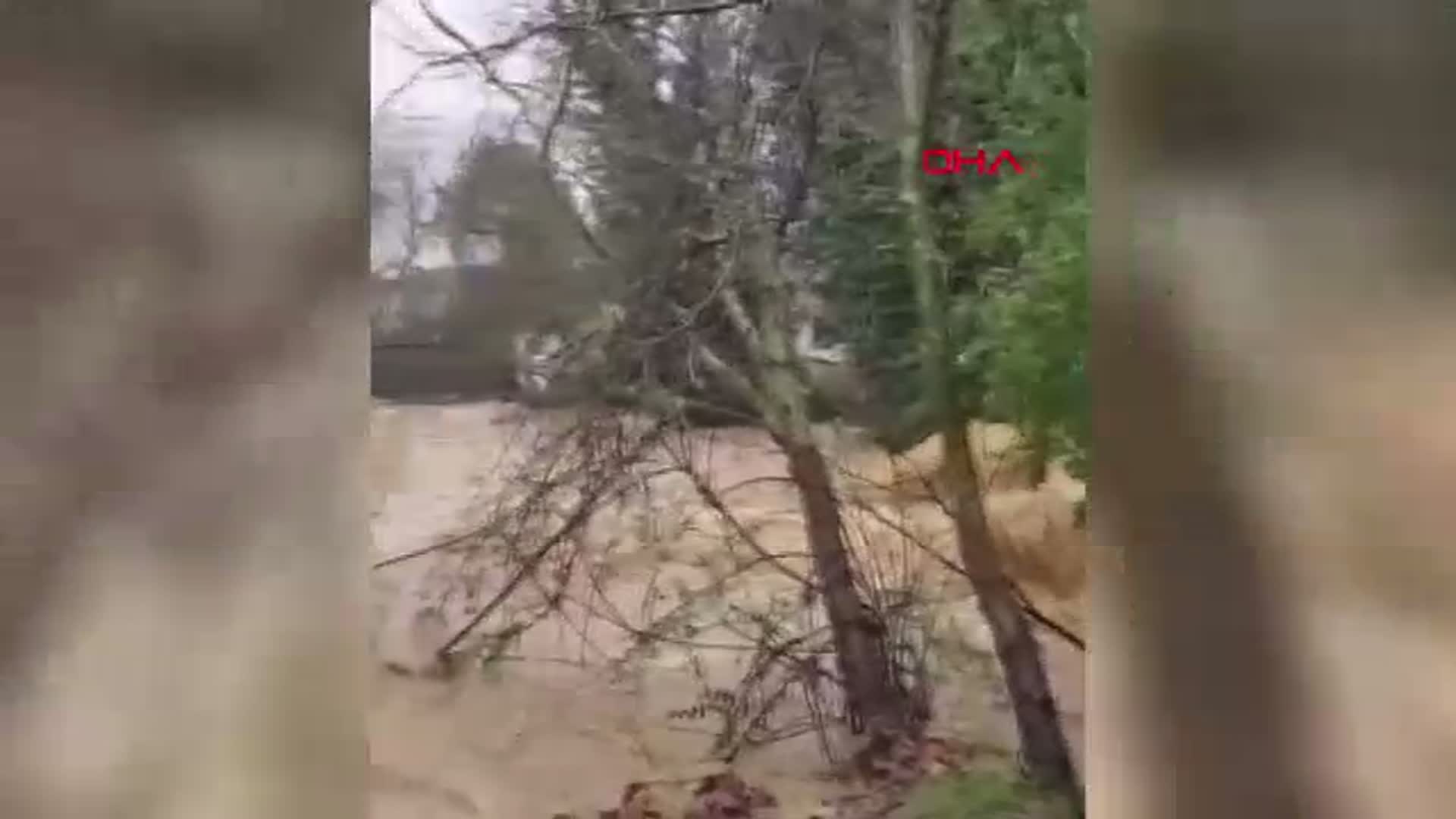 Yalova'da Sağanak Yağışlar Dereleri Taşırdı, 5 Büyükbaş Hayvan Hayatını Kaybetti