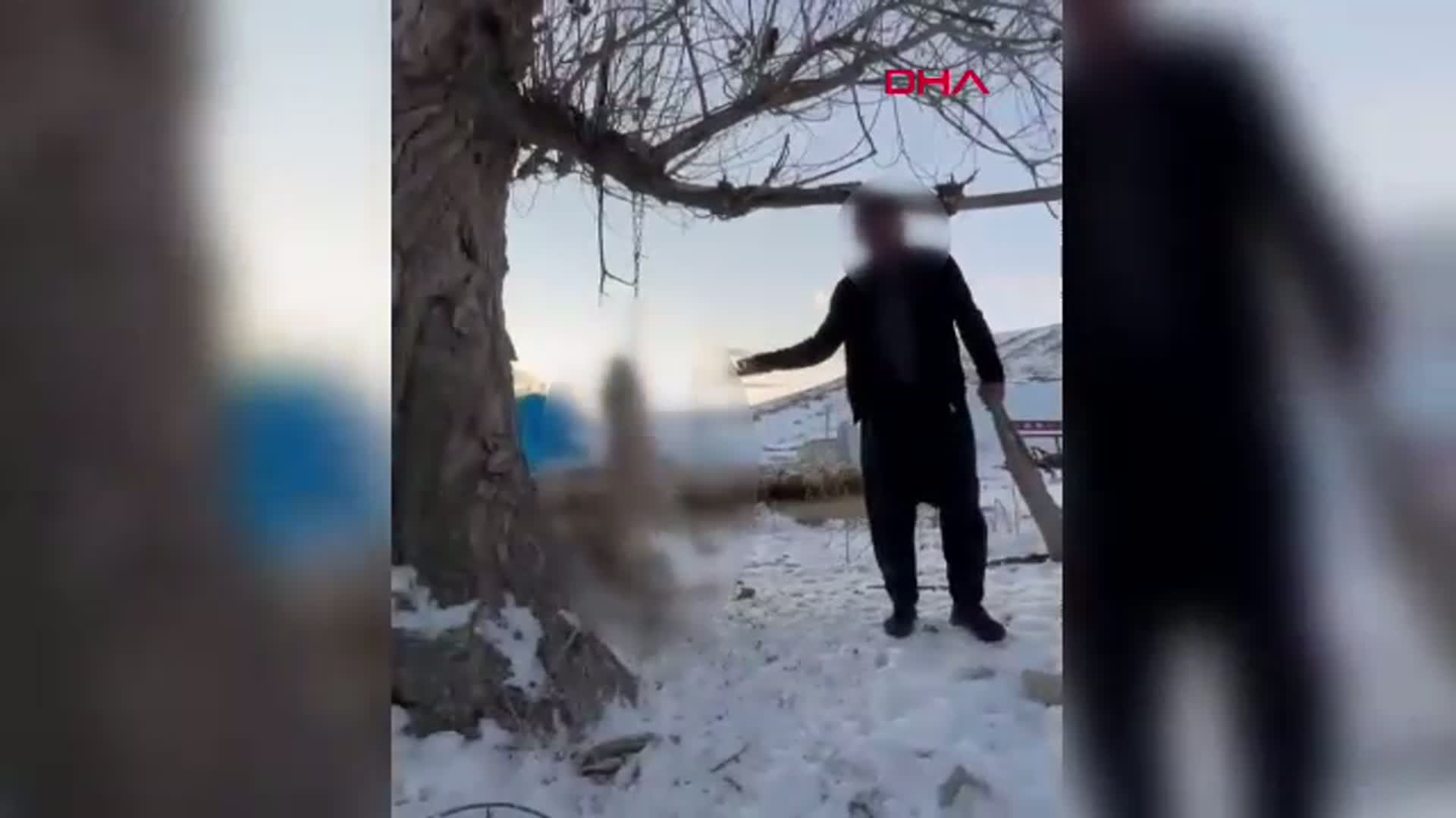 Kayseri'de Şoke Eden Olay: Köpeğini Ağaca Astı