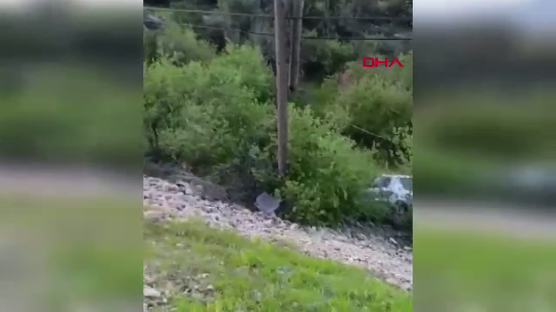 Mersin'de Otomobil Şarampole Devriyle Meydana Gelen Kaza: 1 Ölü, 1 Yaralı