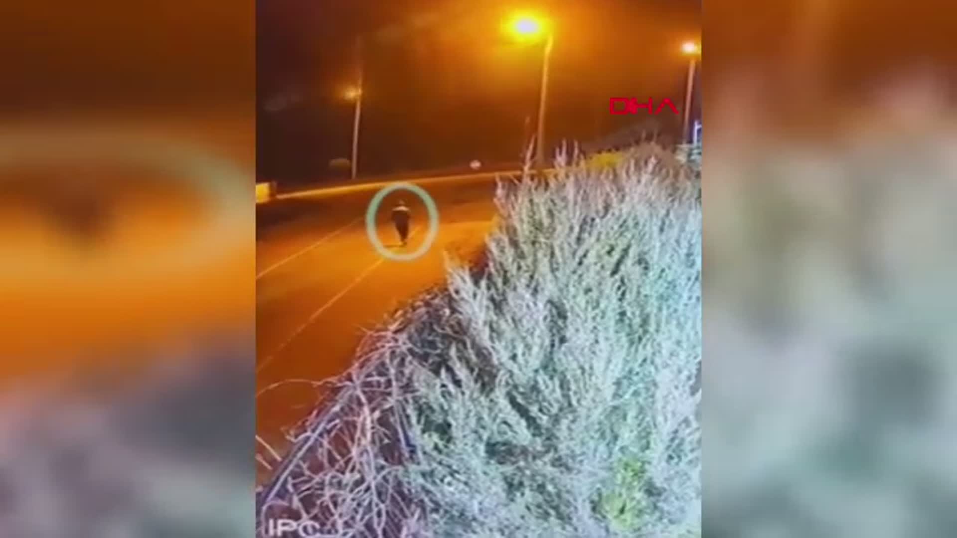 Giresun'da Talihsiz Kaza: Taciz Davasının Mağduru Tuana'nın Hayatı Son Buldu