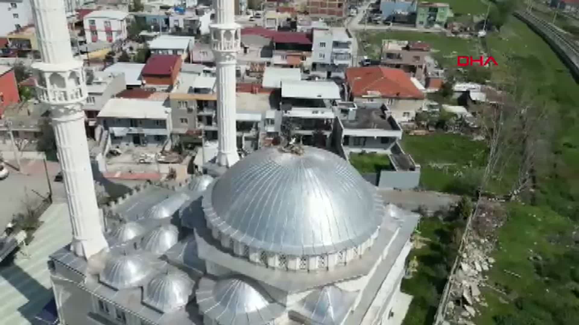 Leylek Çifti 6 Yıldır Manisa'daki Cami Kubbesini Şenlendiriyor