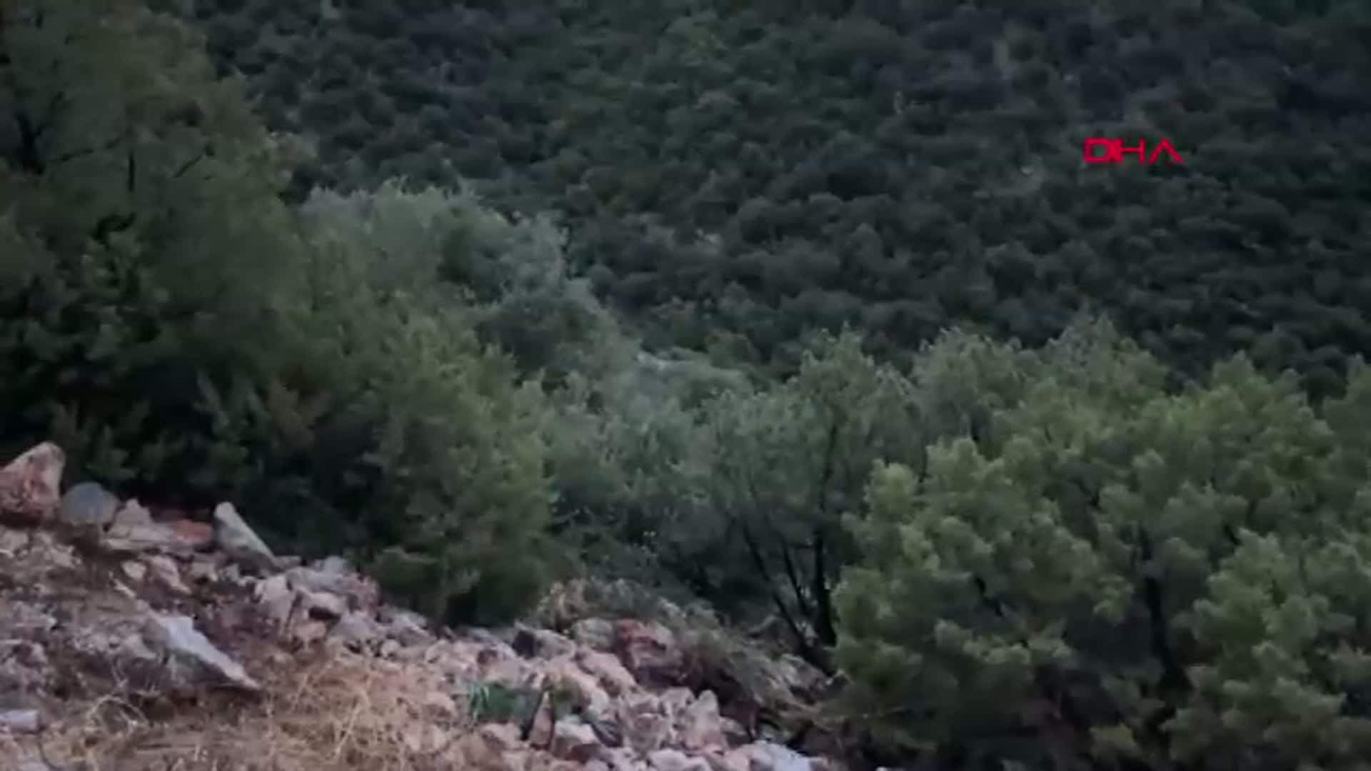 Bodrum'da Anne ve Kızı Olmadan Kayıp: Paralı Asker Eski Eşinden Tahliye Talebi