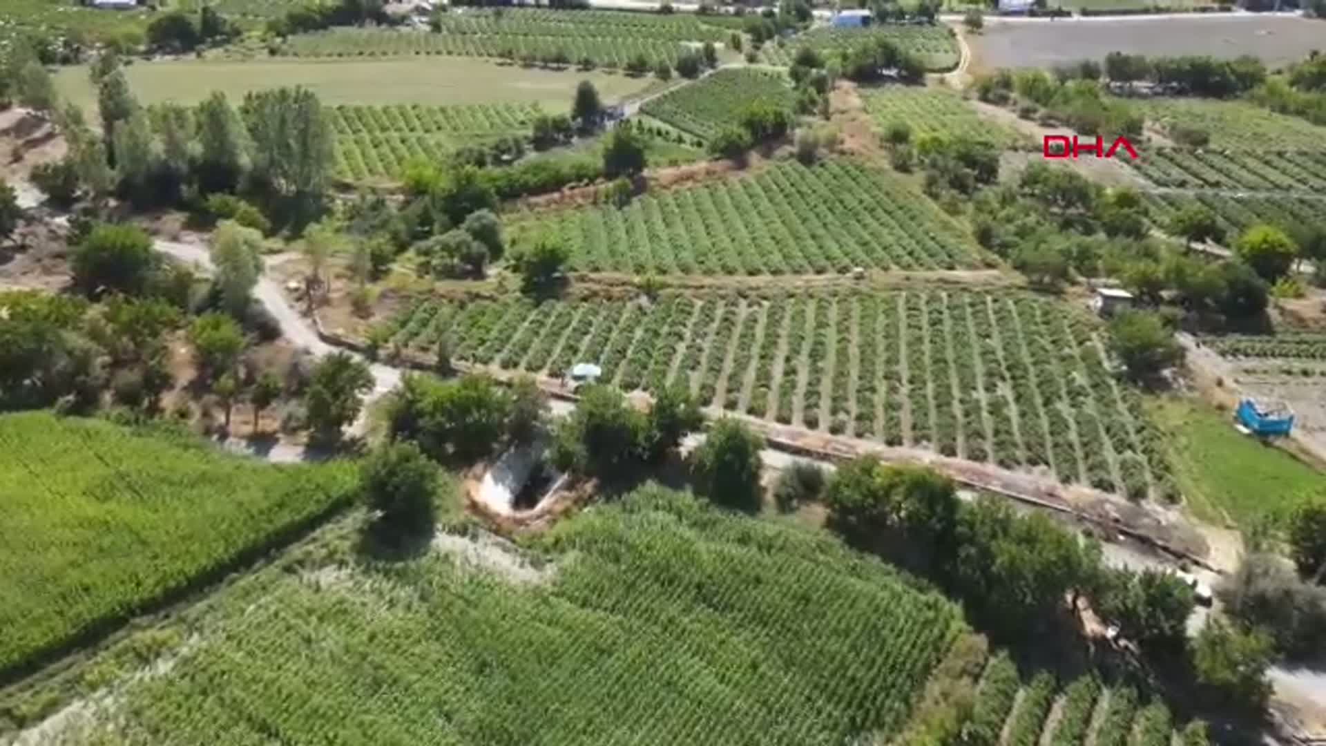 Erzincan Tulum Peyniri ve Cimin Üzümü, Slow Food 'Ark of Taste' Listesinde