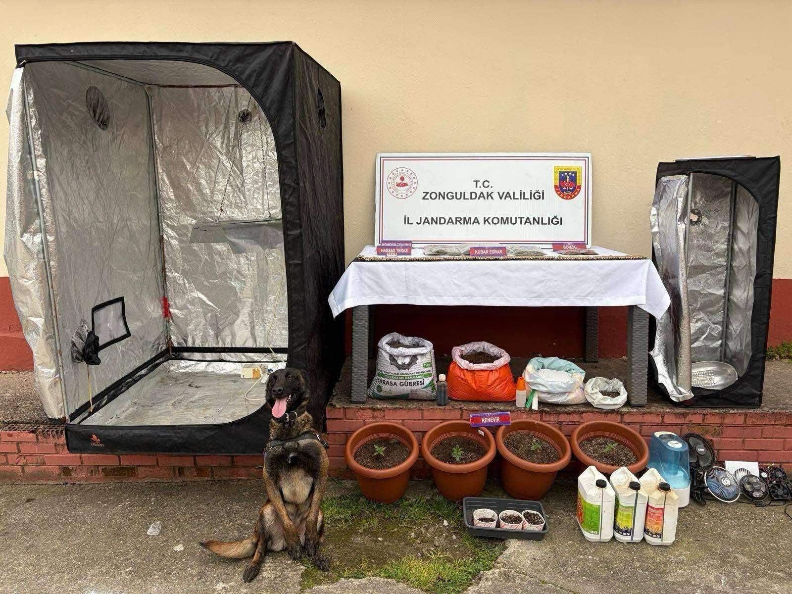Zonguldak'ta Eş Zamanlı Uyuşturucu Operasyonu: 8 Kişi Tutuklandı