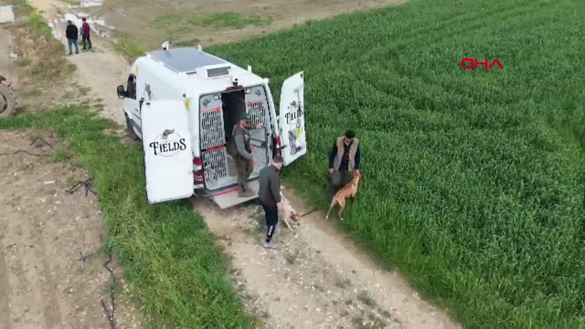 Kozan'da Avcı ve Köpek Yarışması Renkli Anlara Sahne Oldu
