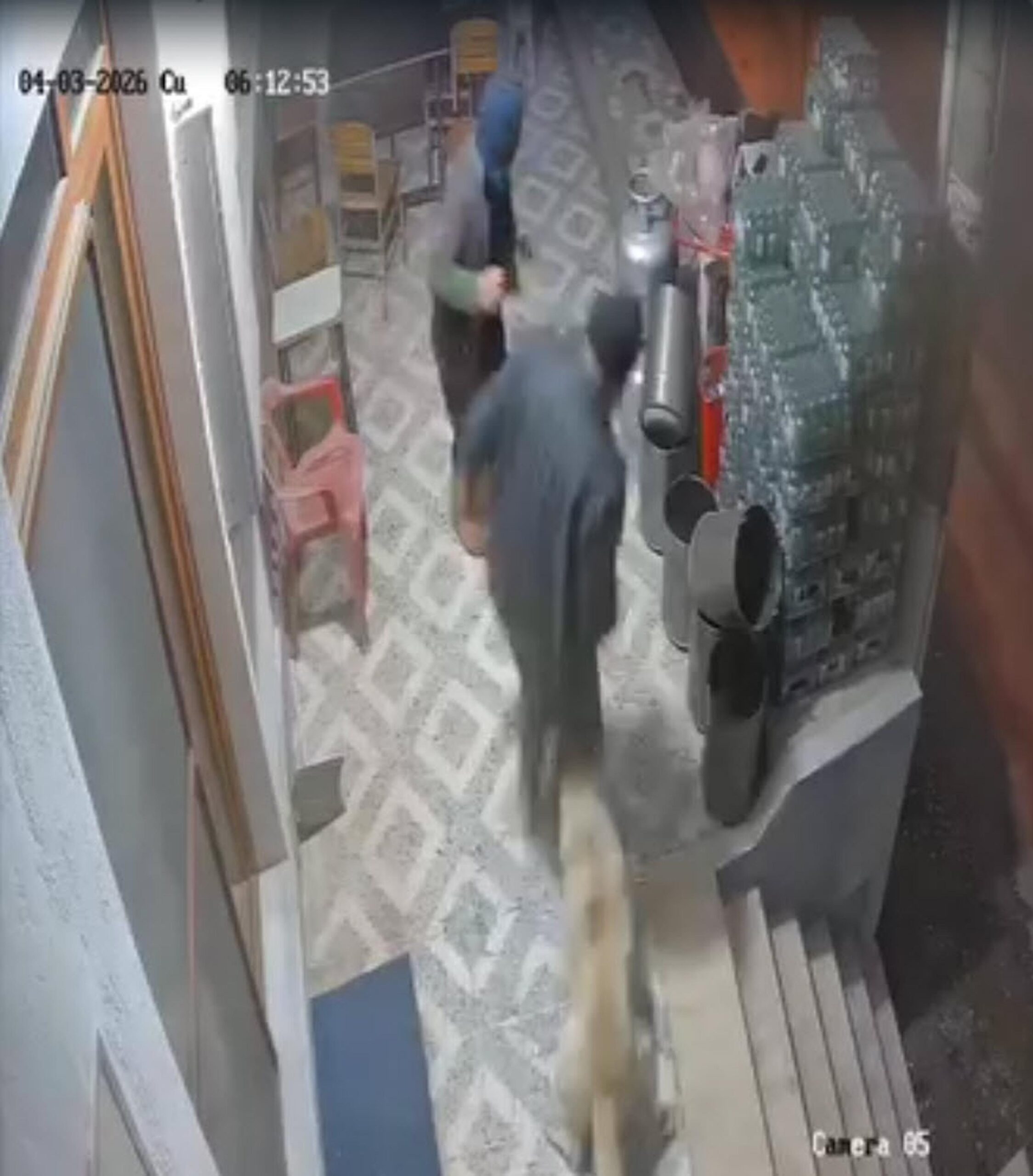 Sahipsiz Köpek Saldırısı: Ferhat Boncuk'un Parmağı Koptu