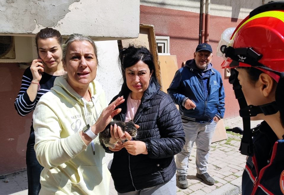 Avcılar'da Yıkımda Mahsur Kalan Yavru Kedi İtfaiye Tarafından Kurtarıldı