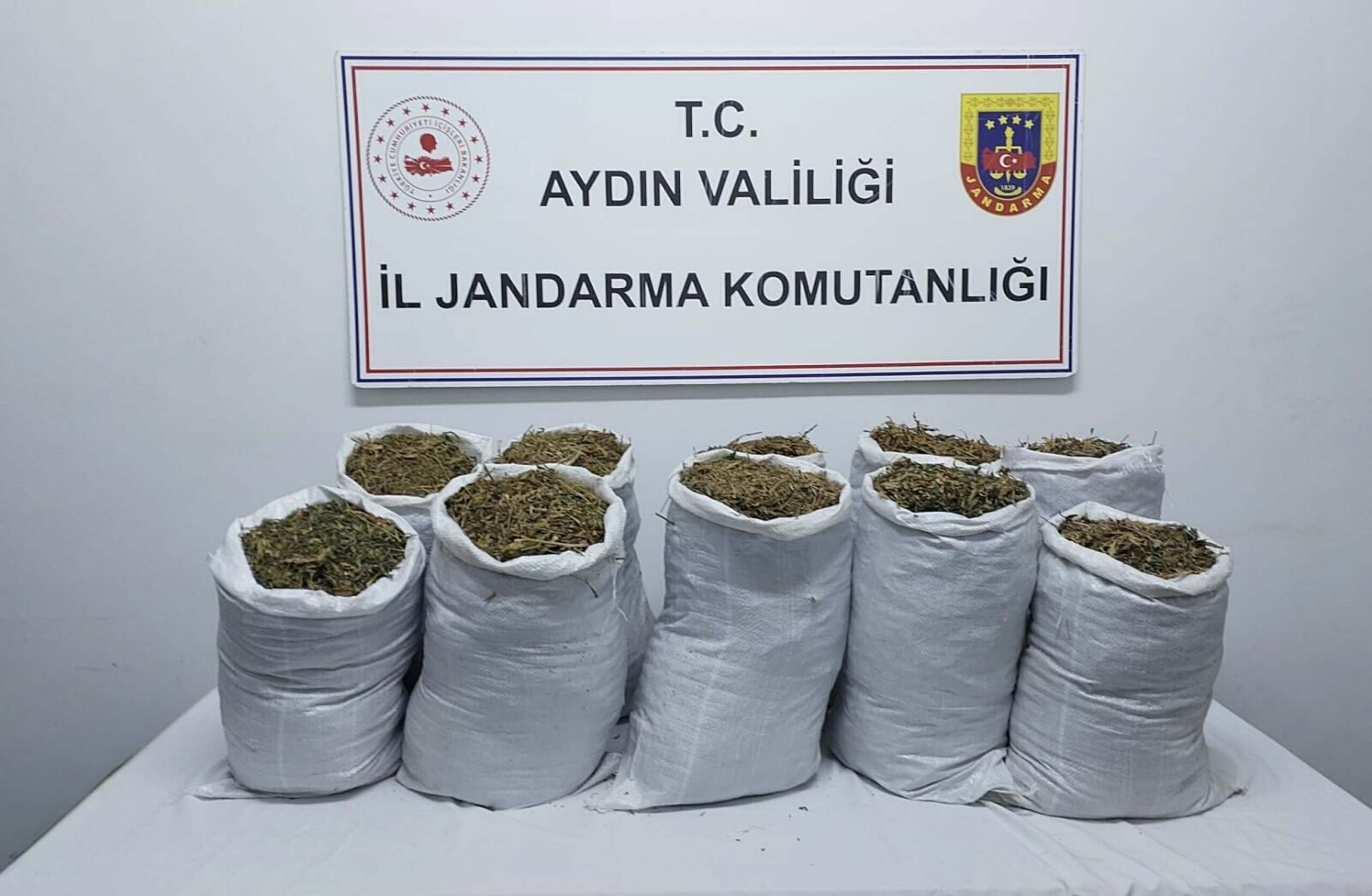 Kuşadası'nda Uyuşturucu Operasyonu: İki Şüpheli Gözaltında