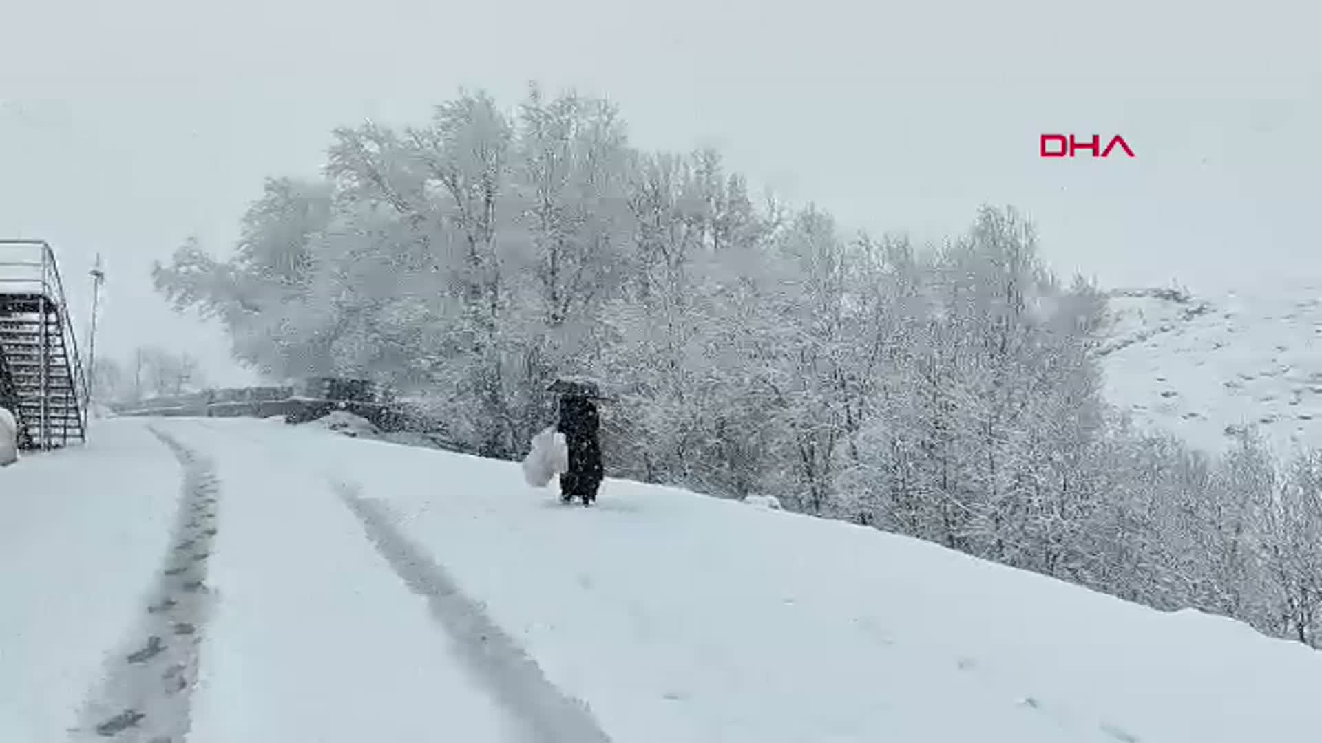 Bingöl'ün Karlıova İlçesinde Yoğun Kar Yağışı Etkili Oldu