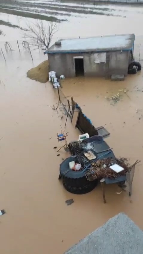 Siirt'te Sağanak Yağış Dere Taşırdı, Evler ve Araziler Su Altında Kaldı