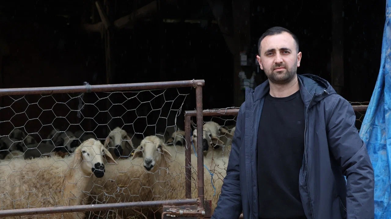 Devlet Desteğiyle Hayvancılıkta Başarı: Sercan Yüce'nin 400 Koyunluk Sürü