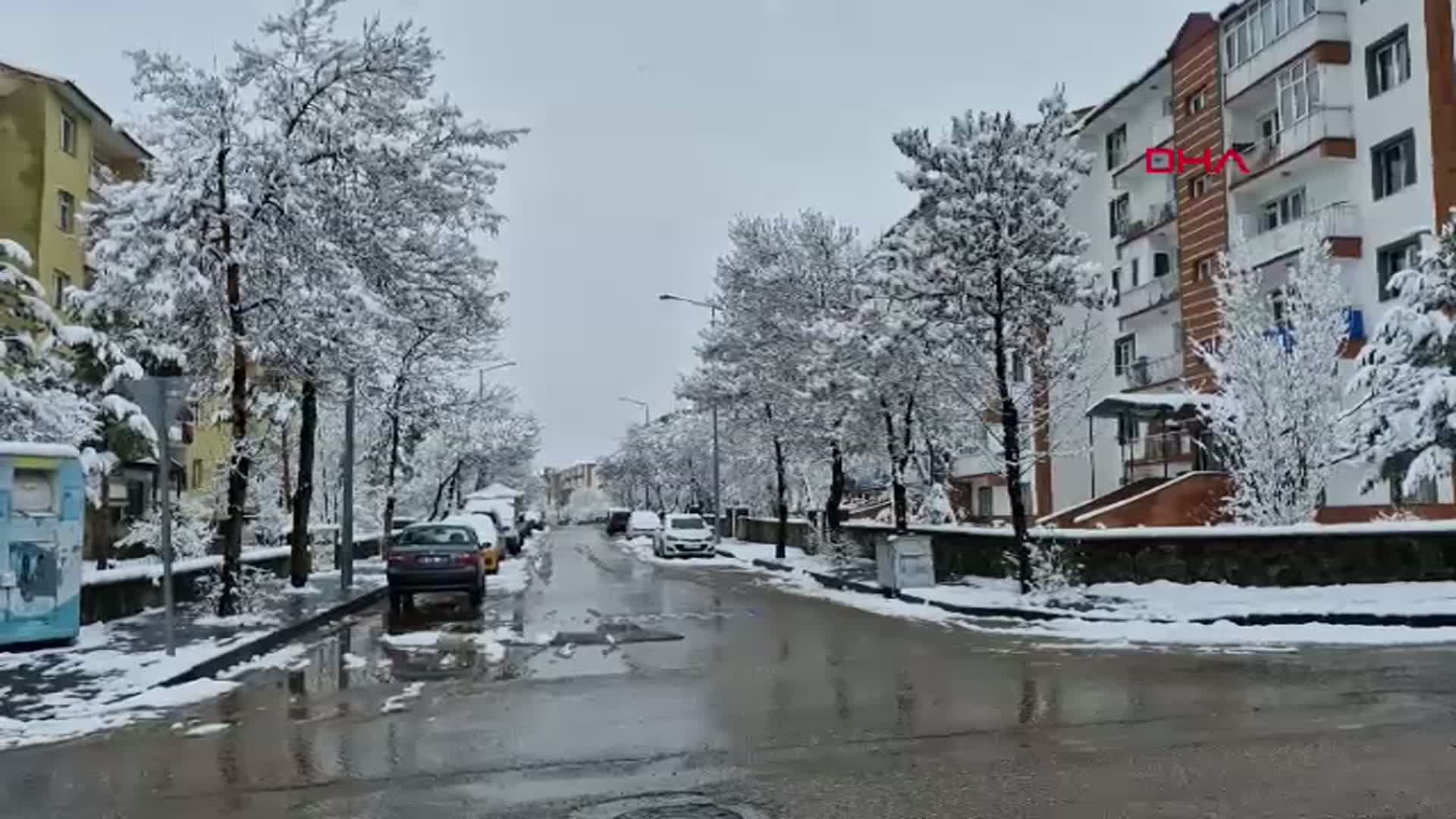 Erzurum ve Ardahan'da Etkili Kar Yağışı: Ulaşımda Zorluklar Baş Gösterdi
