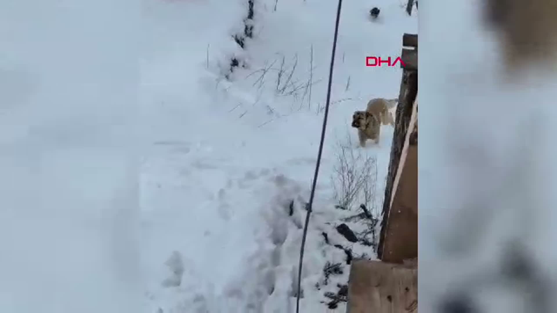 Çorum İskilip'te Yoğun Kar Yağışı