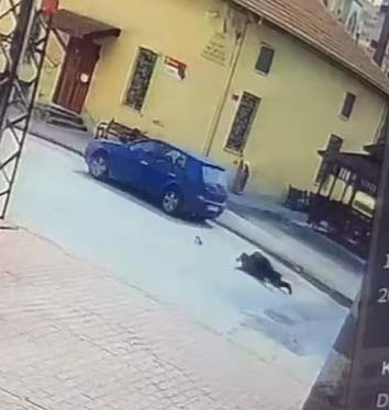 Konya'da Cami Yolu Üzerinde Otomobil Çarpması Sonucu Yaya Yaralandı