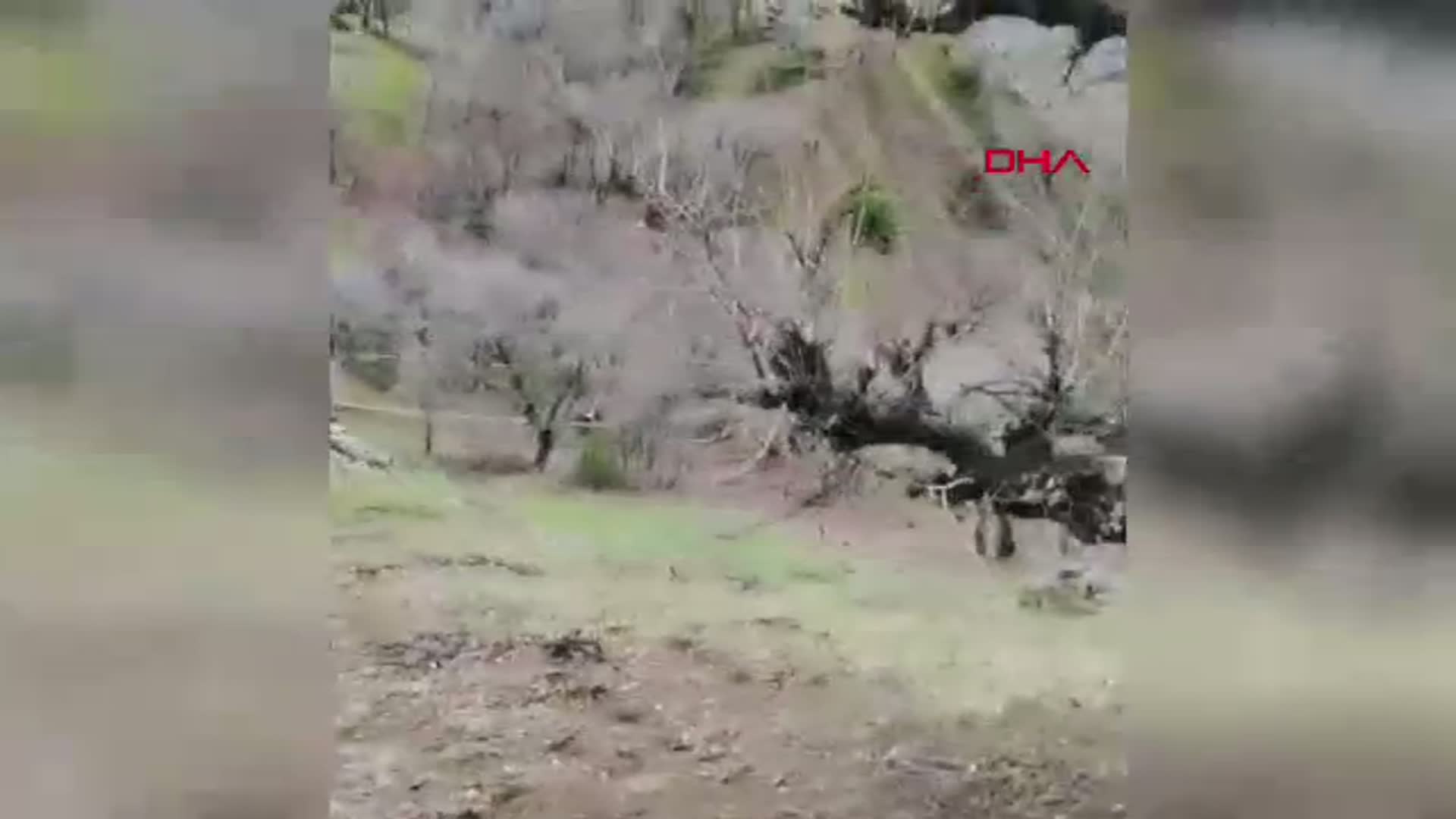 Diyarbakır'da Şok Edici Bulgu: Başsız Ceset