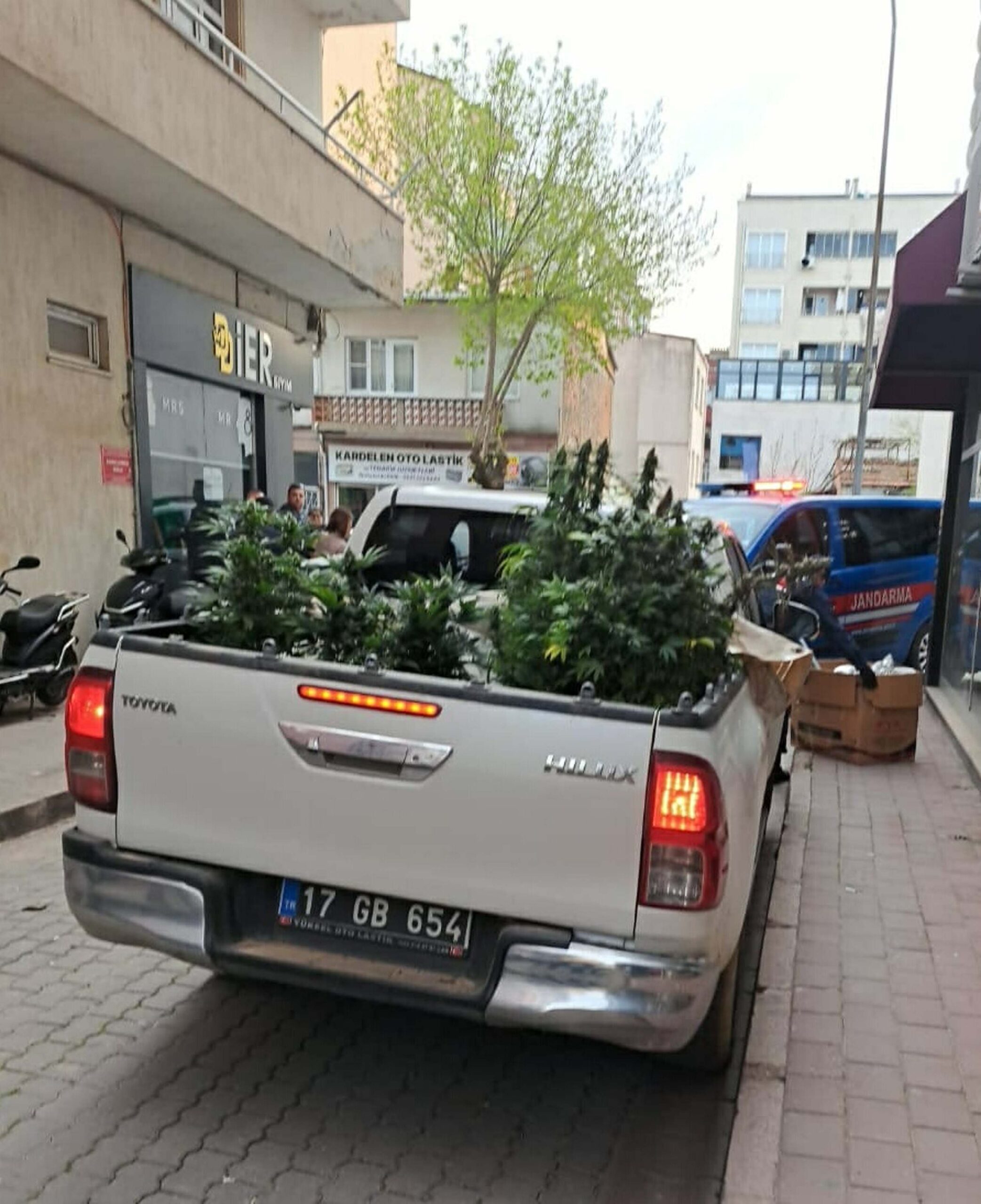 Çanakkale'de Uyuşturucu Tarlasına Raçin Uyuşturucu Üreticisi Yakalandı