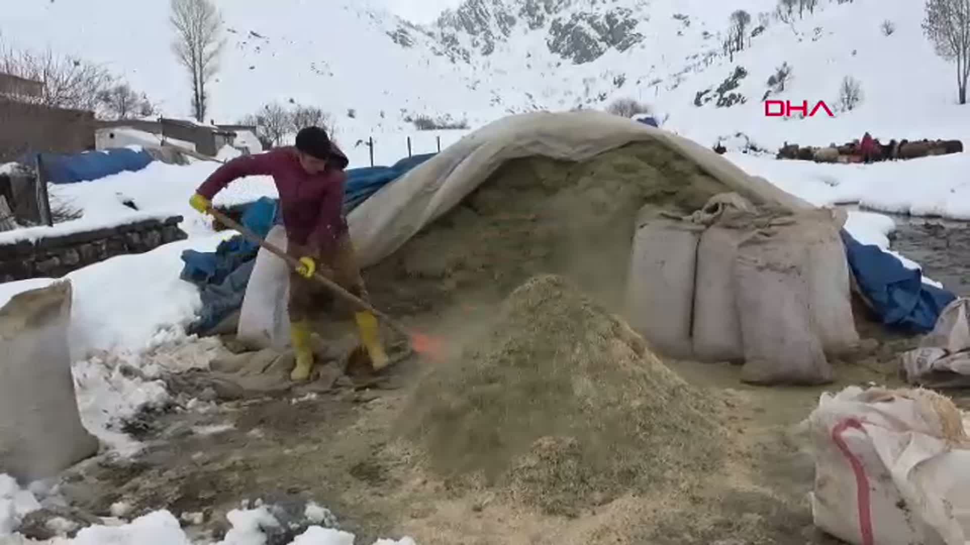 Bitlis’te Nisan Karı Besicileri Çaresiz Bıraktı