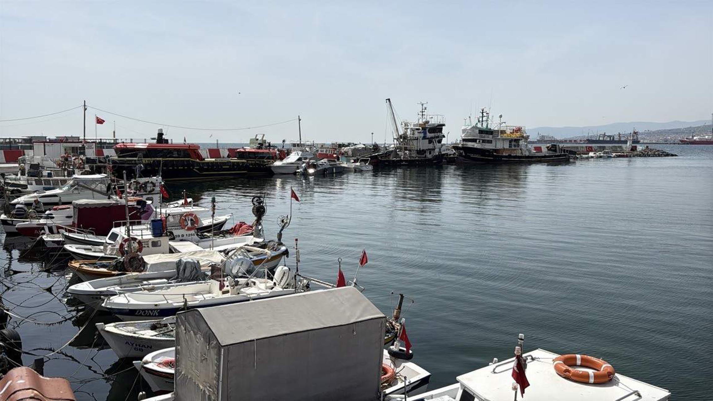 Tekirdağ'da Balıkçılar Sezonun Getirdiklerinden Memnun