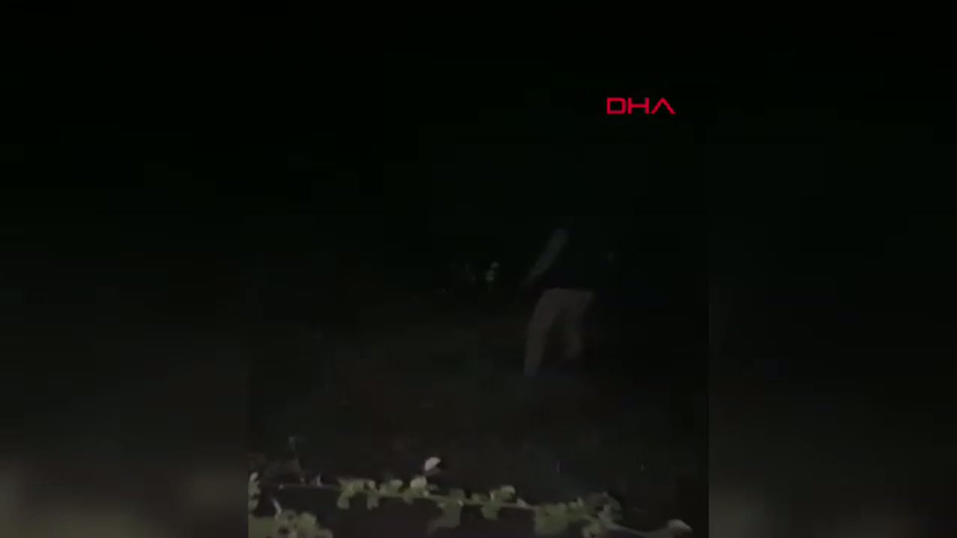 Amasya'da Kaybolan Gebe İnek ve Buzağısı AFAD Ekipleri Tarafından Bulundu