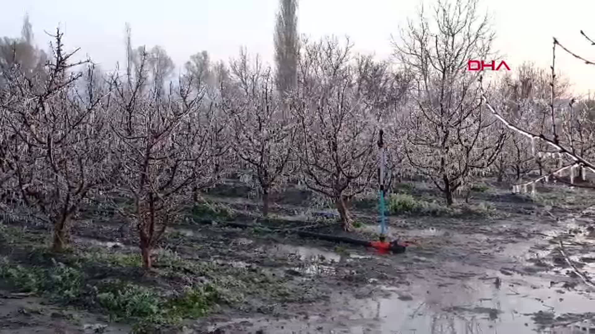 Kayseri'deki Elma Üreticileri Zirai Dona Karşı 'Spring' Yöntemini Tercih Ediyor