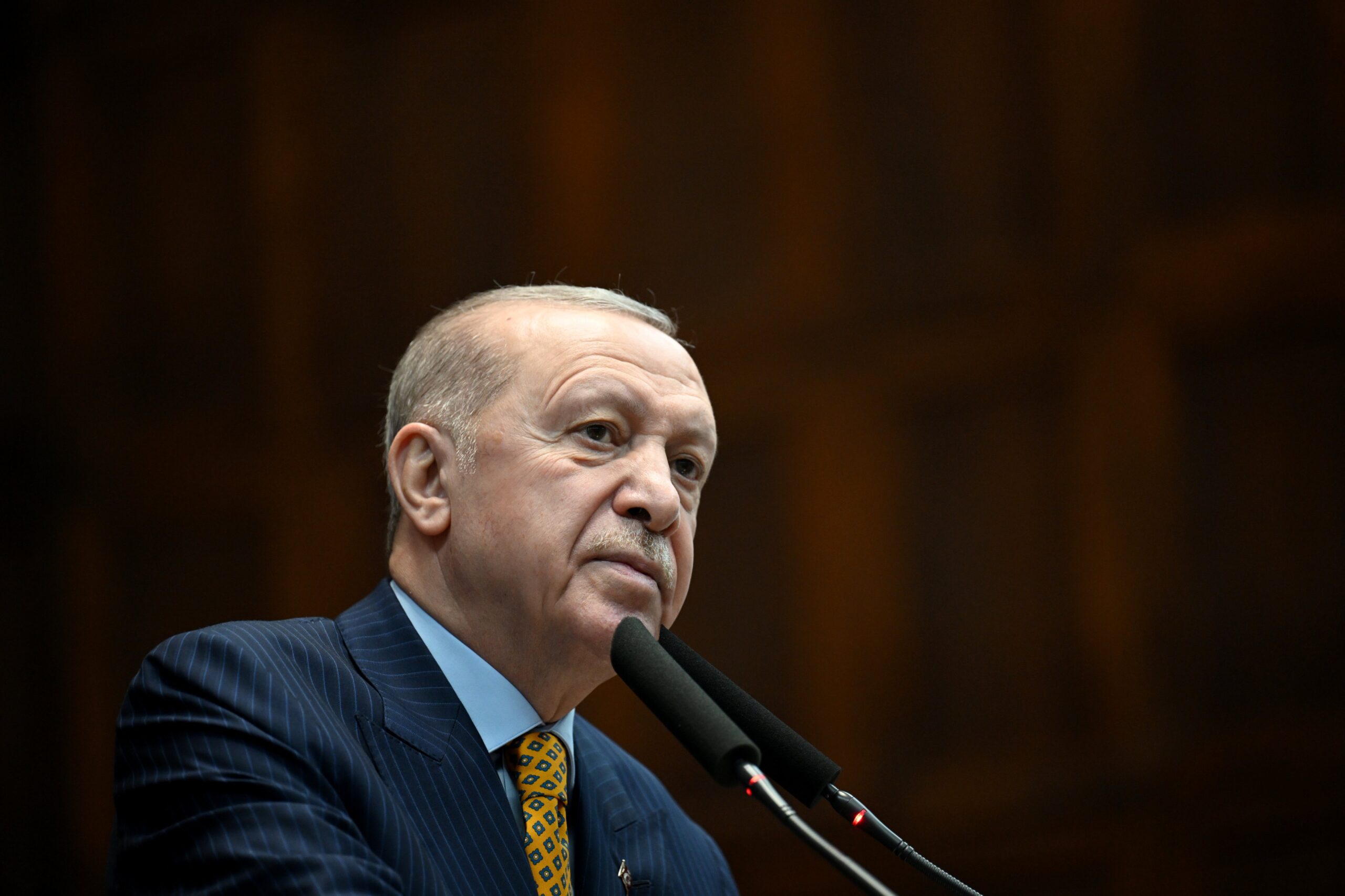 Cumhurbaşkanı Erdoğan'dan Güçlü Türkiye Vurgusu: Hiçbir Güç Parmak Sallayamaz