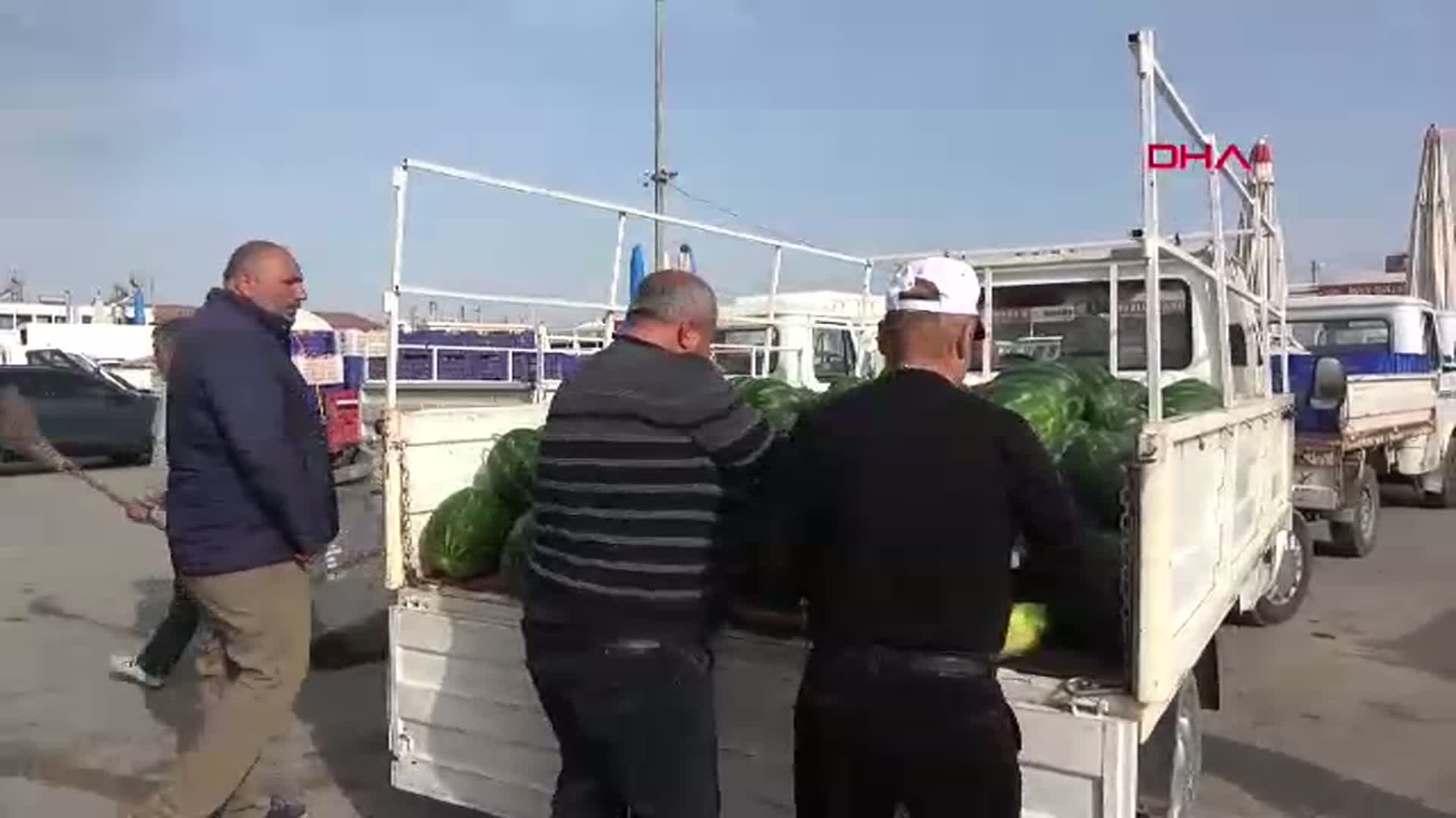 Antalya'da İlk Erkenci Karpuz Sezonu Başladı: Kilo Fiyatı 40 TL