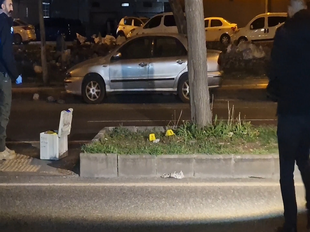 Diyarbakır'da Aile İçi Şiddet: Eşi Öldüren Şüpheli Tutuklandı