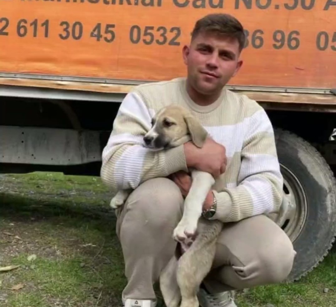 Ordu'da Korkunç Kaza: Motosiklet Sürücüsü Hayatını Kaybetti