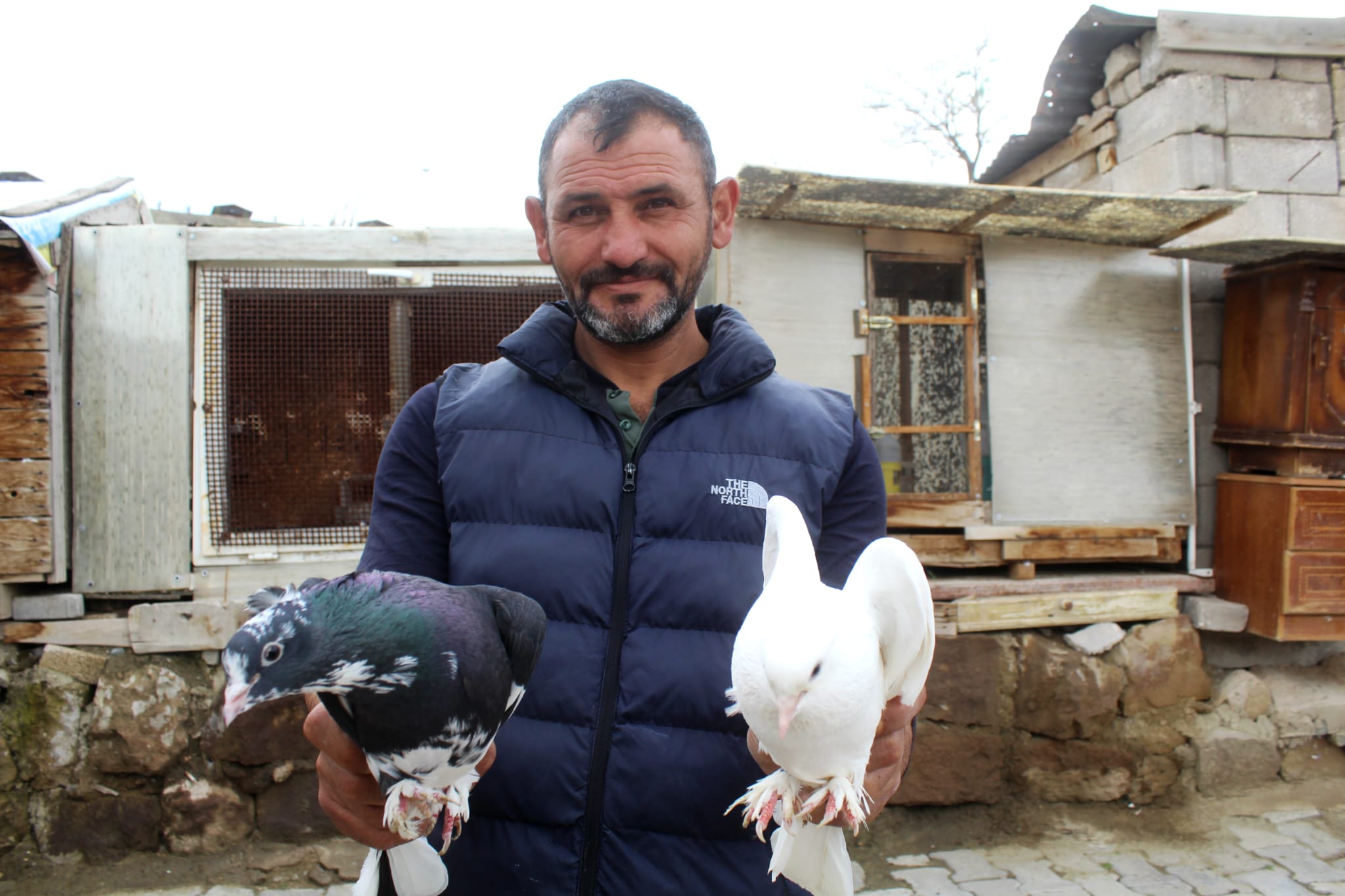 35 Yıldır Güvercin Besleyen Ahmet Çayabatmaz'ın Tutkusu