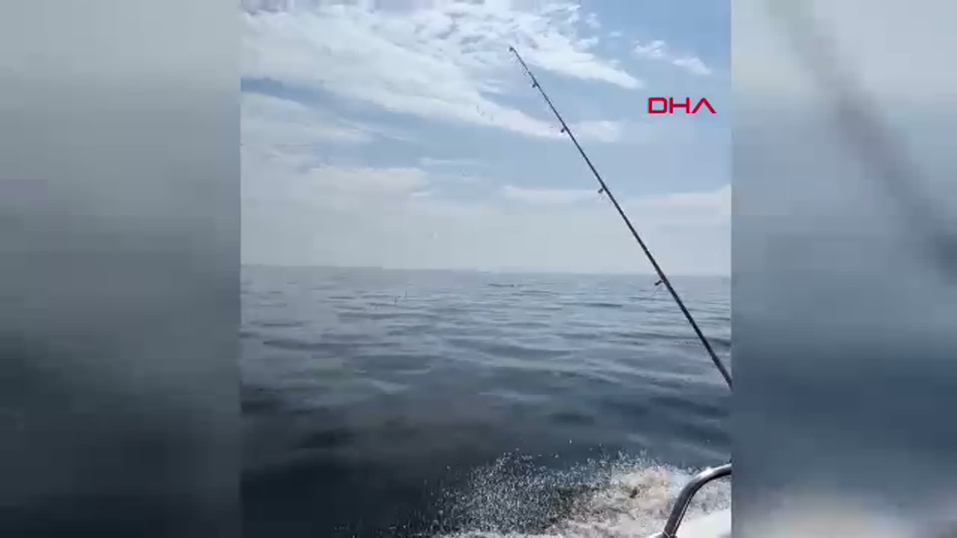 Edirne Saros'ta Tekne Yanında Eğlenceli Yunus Dansı