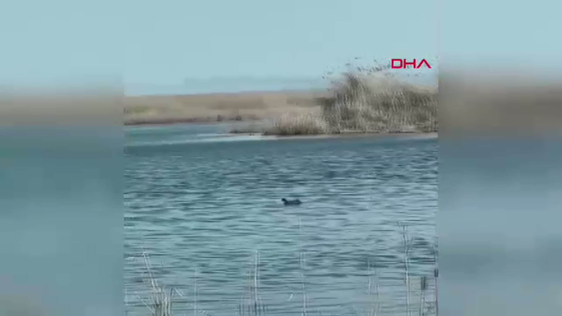 Eber Gölü Projesi, AB Onayından Geçemedi