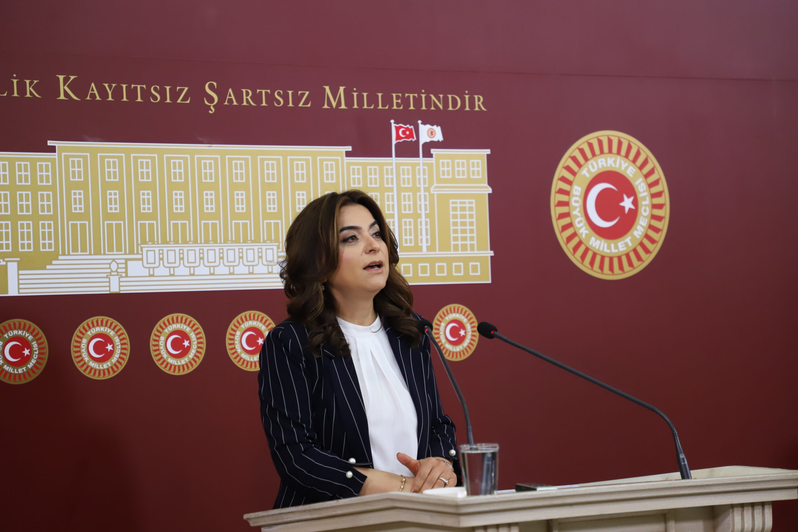 DEM Parti Grup Başkanvekili Koçyiğit'den Önemli Açıklamalar