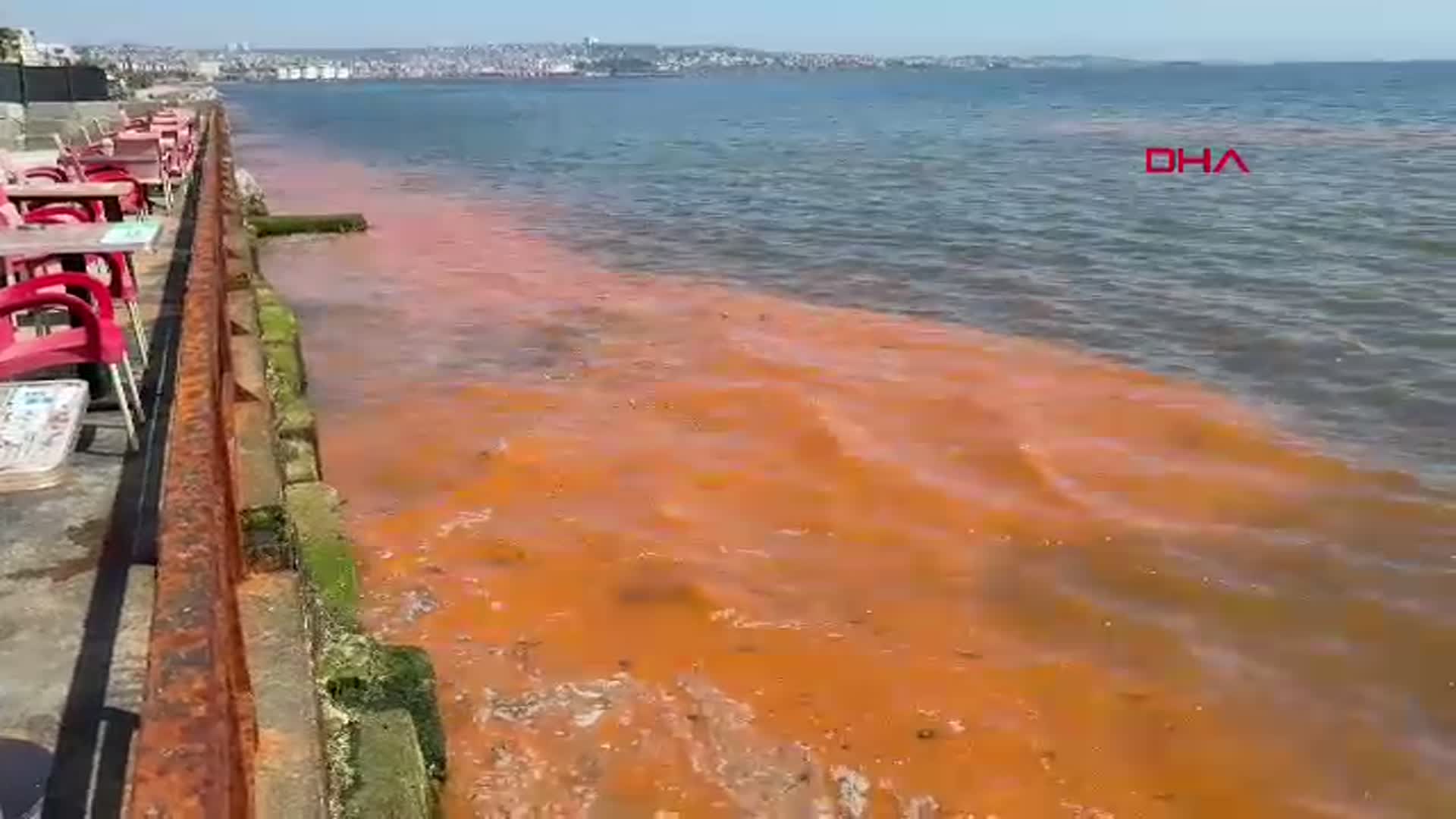 Tekirdağ Sahilinde Alg Patlaması: Deniz Turuncuya Bürünmüş Durumda
