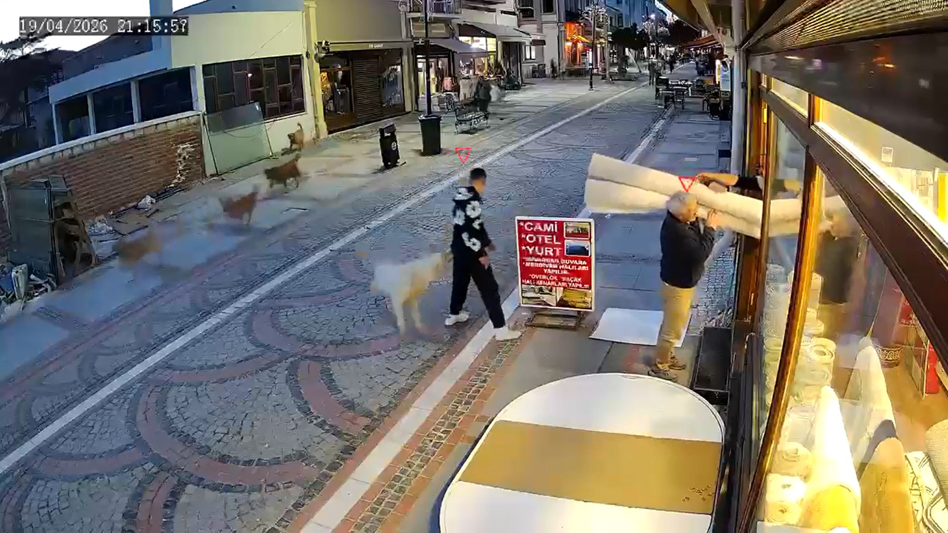 Edirne'de Sokak Köpeği Saldırısında Yaralanma Anı Kamerada