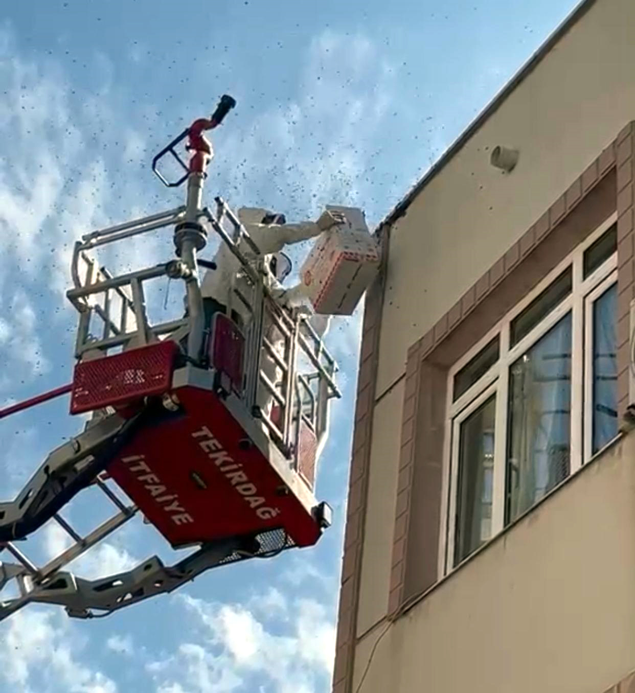 Malkara'da Oğul Veren Bal Arıları Trafiği Felç Etti