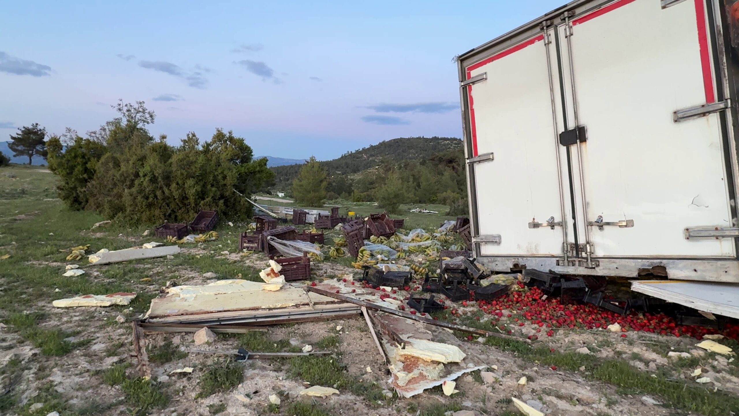 Freni Boşalan Sebze Yüklü TIR, Ağaçla Çarpıp Durabildi