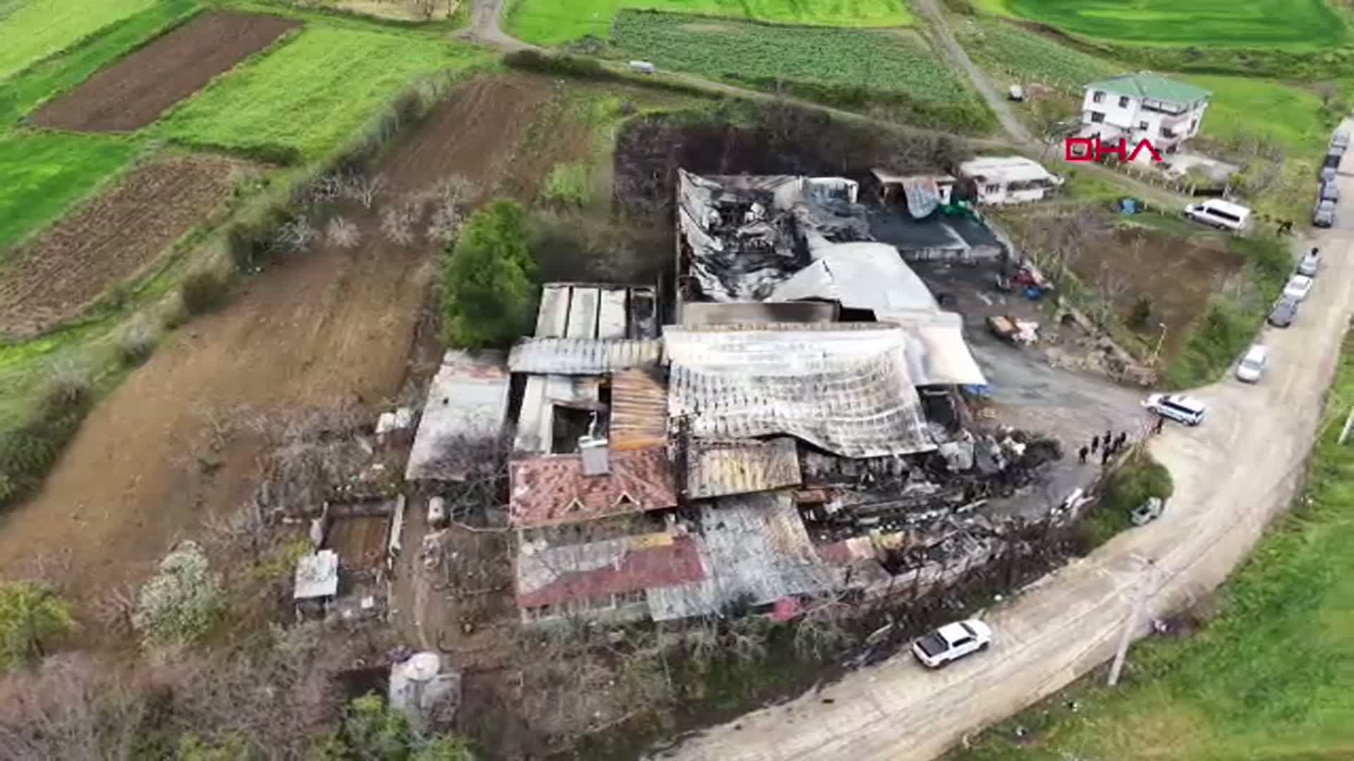 Samsun'daki Meyve Deposunda Yangın: Hasar Gün Ağarınca Ortaya Çıktı