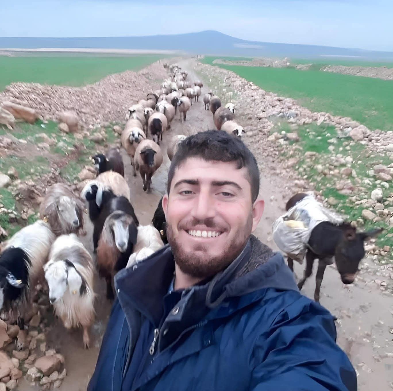Mardin'de Vahşi Cinayet: Çoban Emrah Aksu Silahlı Saldırıda Hayatını Kaybetti
