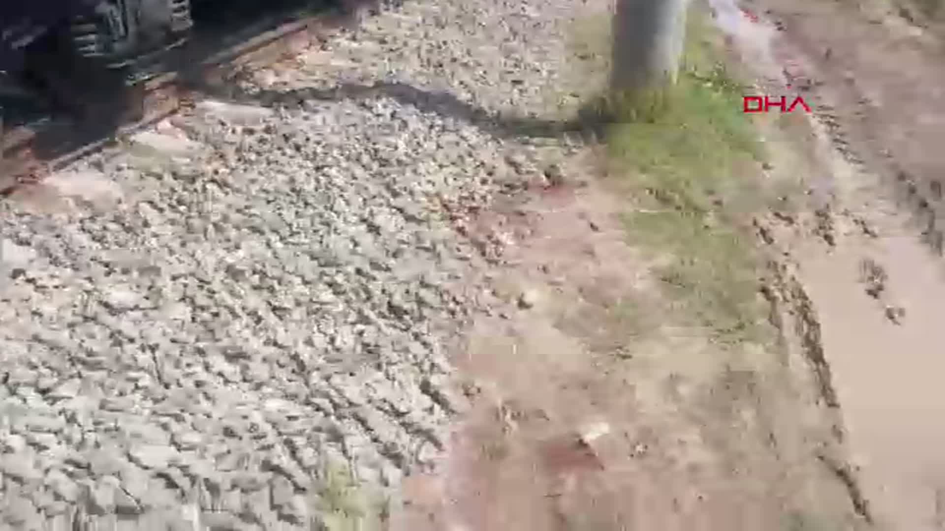 Osmaniye'de Raylarda Feci Kaza: Yük Treni Bir Vatandaşı Biçti